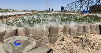 Project on Reforestation and Income Generation  for Local People in Tajikistan