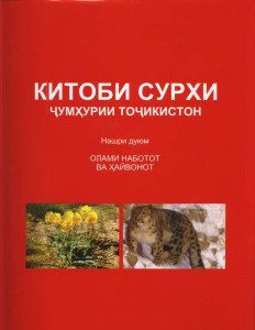 kit.surx.jpg kit.surx.jpg